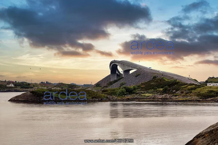 : Atlantic Road, striking Storseisundbrua Bridge : Atlantic Road, striking Storseisundbrua Bridge