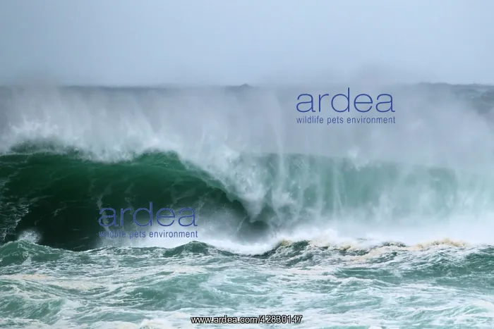 : Atlantic Storm Waves breaking on rocky shore : Atlantic Storm Waves breaking on rocky shore
