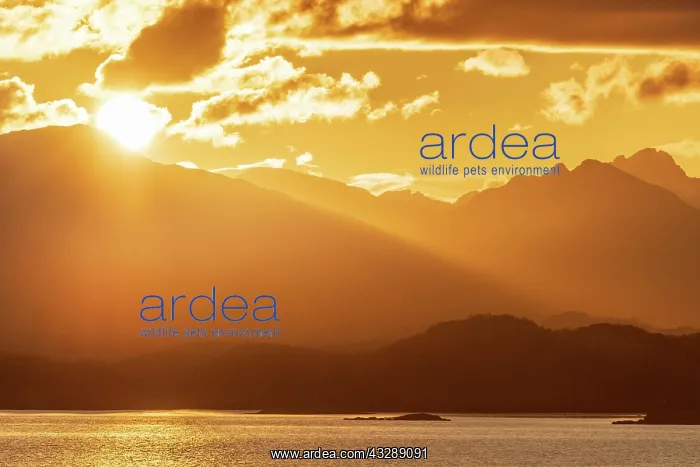 : Atmospheric sunset over a high mountain range, in : Atmospheric sunset over a high mountain range, in
