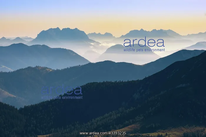 : Atmospheric view of a mountain silhouette in Tyr : Atmospheric view of a mountain silhouette in Tyr