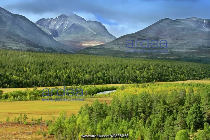 : Atna valley - wild mountain scenery in early autumn : Atna valley - wild mountain scenery in early autumn