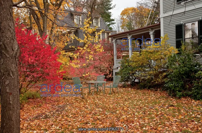 : Attractive garden in autumn (fall) : Attractive garden in autumn (fall)