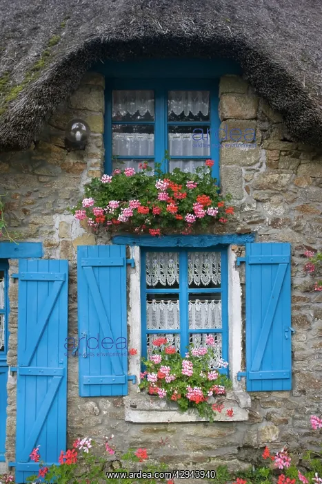 : Attractive thatched French cottage blue door and shutters : Attractive thatched French cottage blue door and shutters