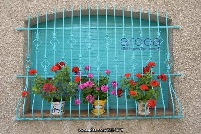 : Attractive window display with blue railings and : Attractive window display with blue railings and