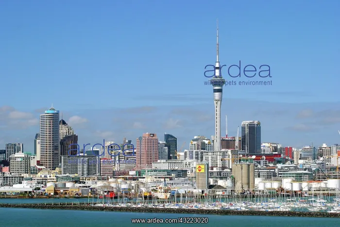 : Auckland, New Zealand. Auckland's world : Auckland, New Zealand. Auckland's world