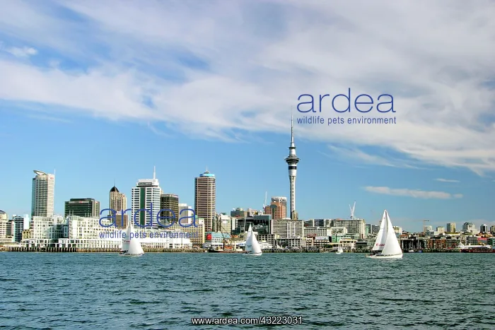 : Auckland, New Zealand. Auckland's world : Auckland, New Zealand. Auckland's world