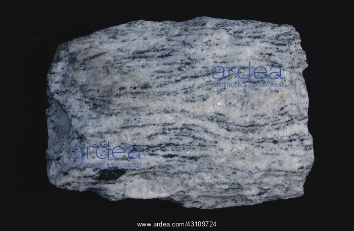 : Augen Gneiss : Augen Gneiss