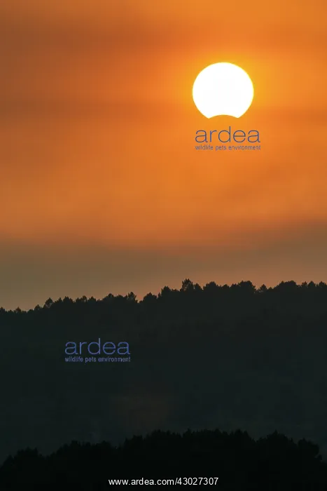 : August 21st, 2017, Solar eclipse at dusk - Galicia, Spain : August 21st, 2017, Solar eclipse at dusk - Galicia, Spain
