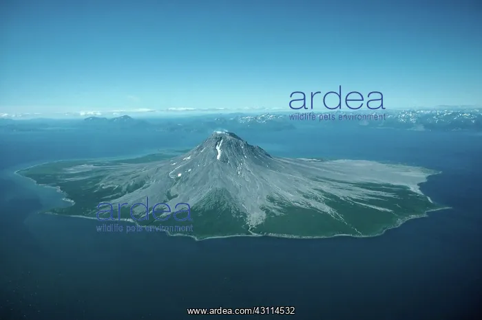 : Augustine Island, Alaska : Augustine Island, Alaska