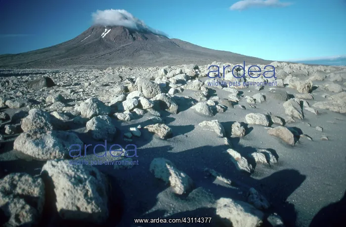 : Augustine Volcano : Augustine Volcano