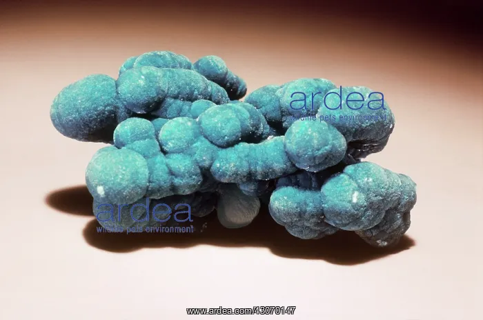 : Aurichalcite from Kelly, New Mexico : Aurichalcite from Kelly, New Mexico