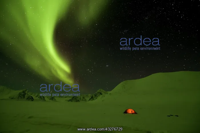  : Aurora borealis on a bivouac at Cap Hoeghon, Kolding