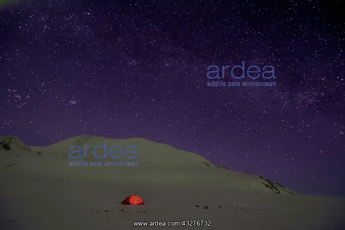  : Aurora borealis on a bivouac at Cap Hoeghon, Kolding