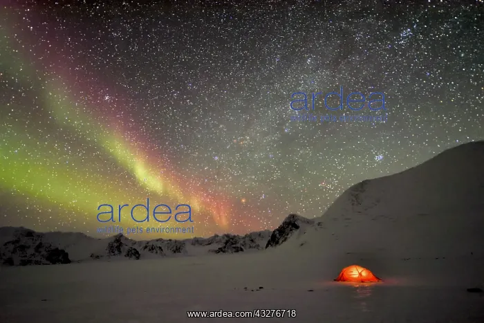 : Aurora borealis on a bivouac on the Kolding Fjord : Aurora borealis on a bivouac on the Kolding Fjord