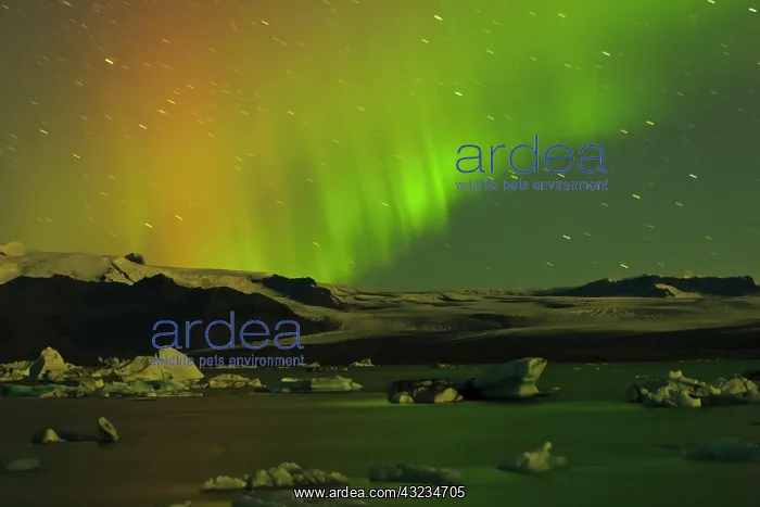 : Aurora Borealis over icebergs in Jokulsarlon : Aurora Borealis over icebergs in Jokulsarlon