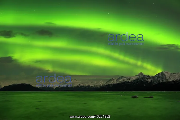 : Aurora borealis over Prince William Sound, Alaska : Aurora borealis over Prince William Sound, Alaska