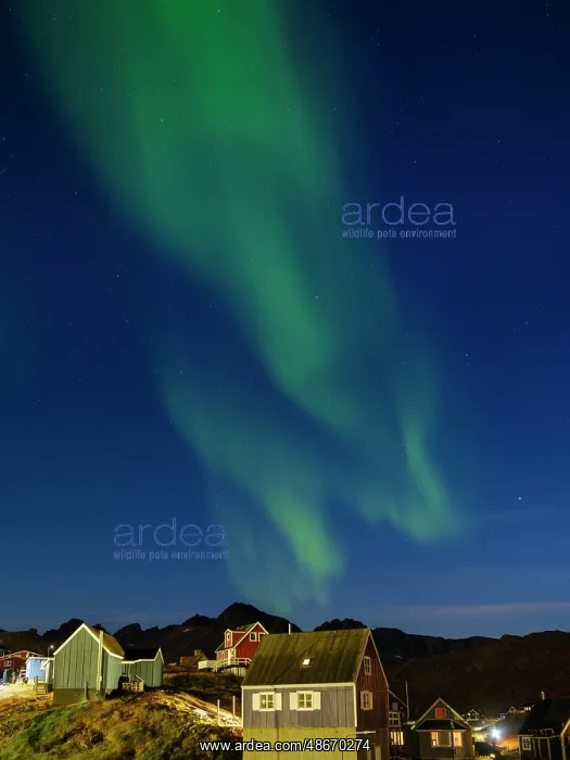 : Aurora over the town. Town Tasiilaq (former Ammassalik), the : Aurora over the town. Town Tasiilaq (former Ammassalik), the