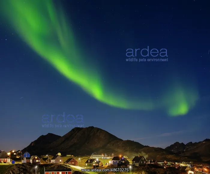 : Aurora over the town. Town Tasiilaq (former Ammassalik), the : Aurora over the town. Town Tasiilaq (former Ammassalik), the