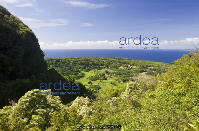 : Ausblick an der Strasse nach Hana, Maui, Hawaii : Ausblick an der Strasse nach Hana, Maui, Hawaii