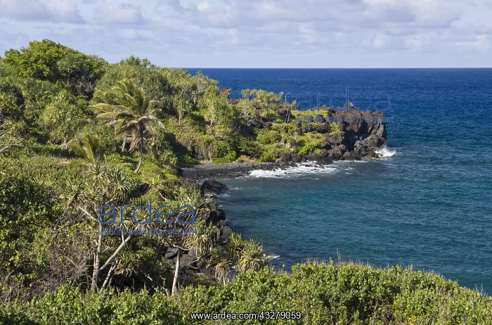 : Ausblick im Waianapanapa State Park an der Strasse : Ausblick im Waianapanapa State Park an der Strasse