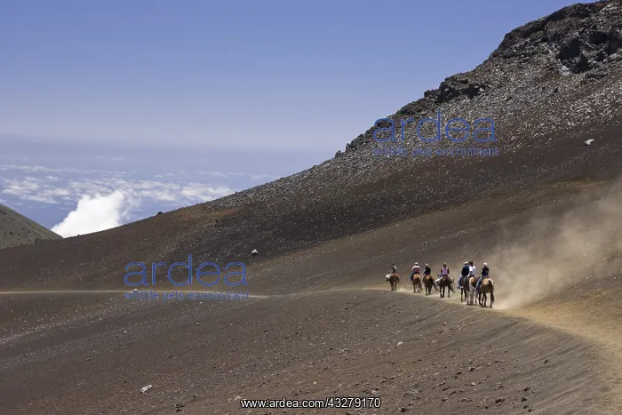 : Ausritt im Krater des Haleakala Vulkan, Maui, Hawaii : Ausritt im Krater des Haleakala Vulkan, Maui, Hawaii