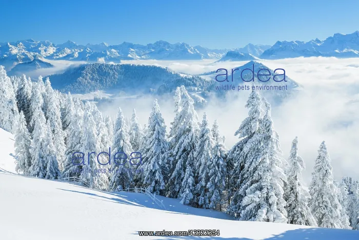  : Aussicht von der Rigi, Schweiz