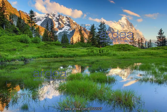 : Aussicht von Grosserscheidegg mit Blick auf Eiger : Aussicht von Grosserscheidegg mit Blick auf Eiger