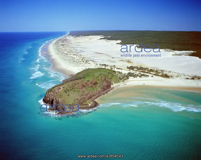 : Australia. Fraser Island, Great Sandy National Park, India Head, Queensland : Australia. Fraser Island, Great Sandy National Park, India Head, Queensland