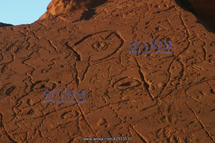 : Australia - Aboriginal Rock carvings : Australia - Aboriginal Rock carvings