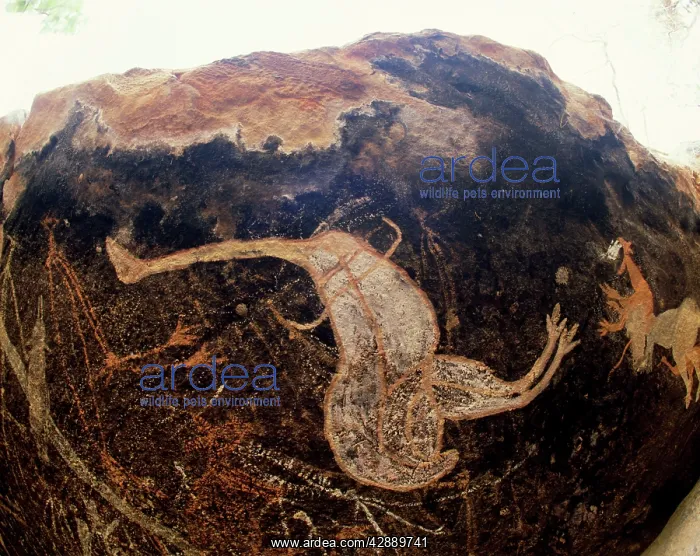  : Australia - Aboriginal rock painting, Emu