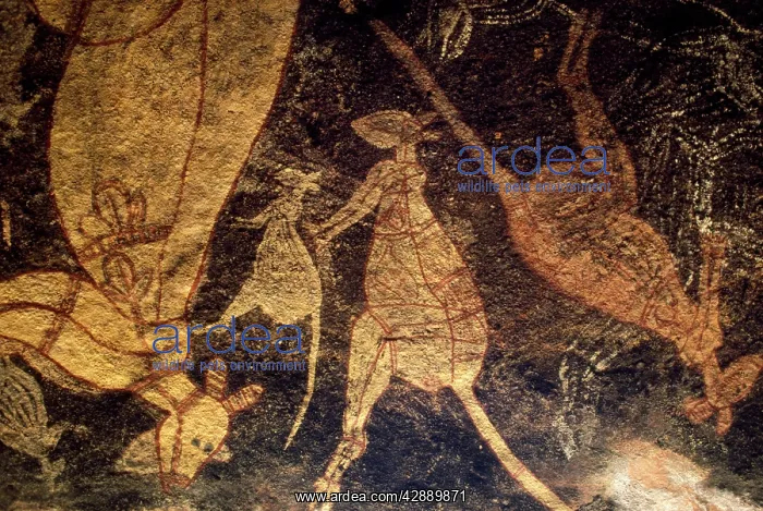 : Australia - aboriginal rock painting of Kangaroos : Australia - aboriginal rock painting of Kangaroos
