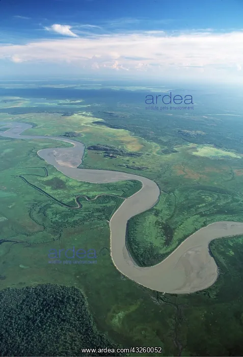 : Australia, Arnhem Land - aerial of East Alligator River : Australia, Arnhem Land - aerial of East Alligator River