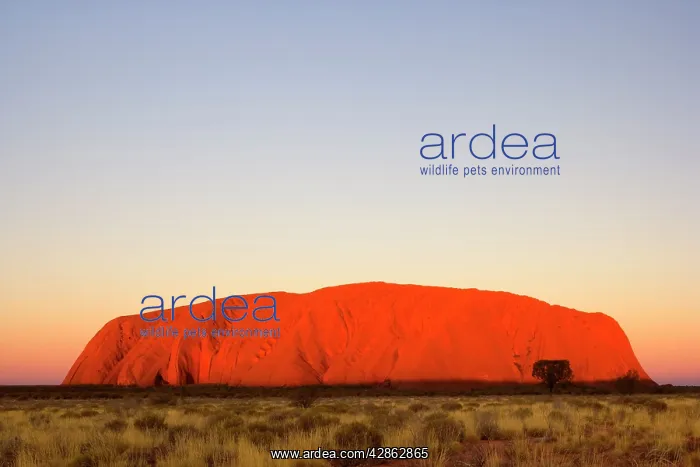 : Australia - Ayers Rock - Uluru - brightly ablaze : Australia - Ayers Rock - Uluru - brightly ablaze
