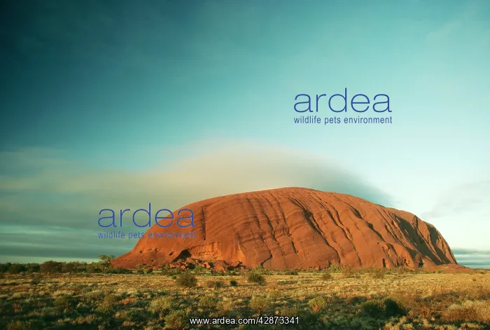 : Australia - Ayers Rock, Uluru National Park, Northern : Australia - Ayers Rock, Uluru National Park, Northern
