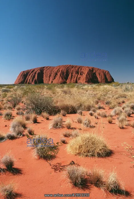 : Australia - Ayers Rock, Uluru National Park : Australia - Ayers Rock, Uluru National Park
