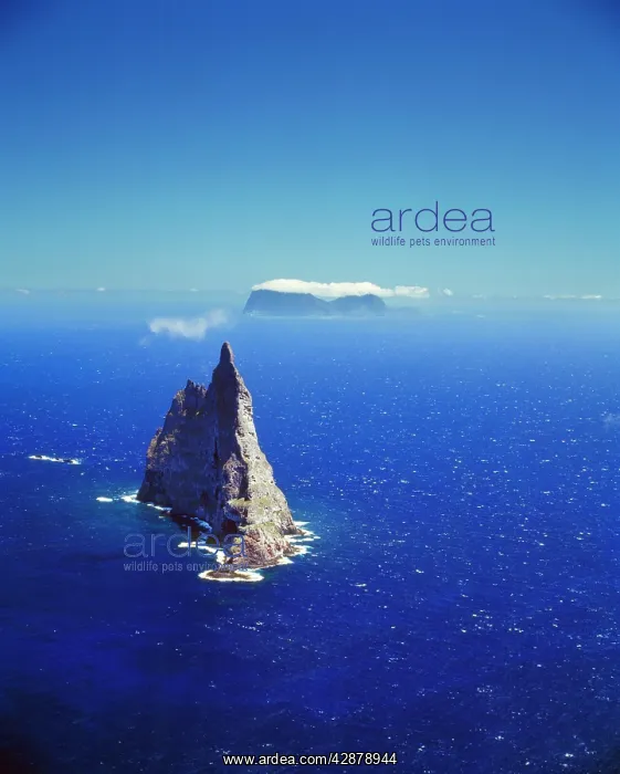 : Australia - Ball's pyramid : Australia - Ball's pyramid