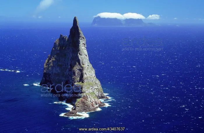: Australia - Ball's pyramid : Australia - Ball's pyramid