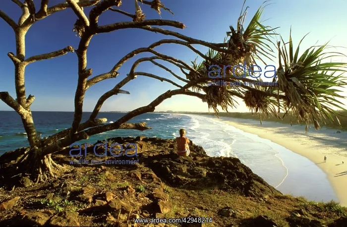 : Australia - Beachgoer enjoying landscape of the : Australia - Beachgoer enjoying landscape of the