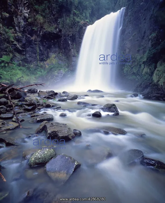 : Australia - Beauchamp waterfall in the : Australia - Beauchamp waterfall in the