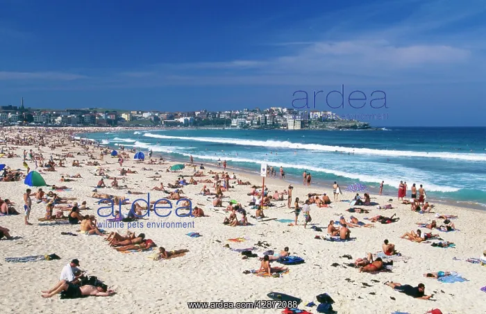 : Australia - Bondi Beach, Australia's most famous beach : Australia - Bondi Beach, Australia's most famous beach