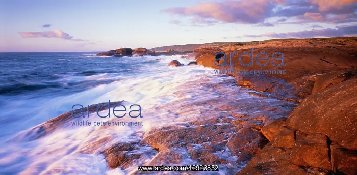 : Australia - Cape Freycinet Leewin Naturaliste : Australia - Cape Freycinet Leewin Naturaliste