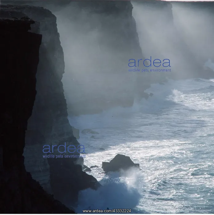 : AUSTRALIA - Cliffs - Great Australian Bight Nullarbor Plain : AUSTRALIA - Cliffs - Great Australian Bight Nullarbor Plain