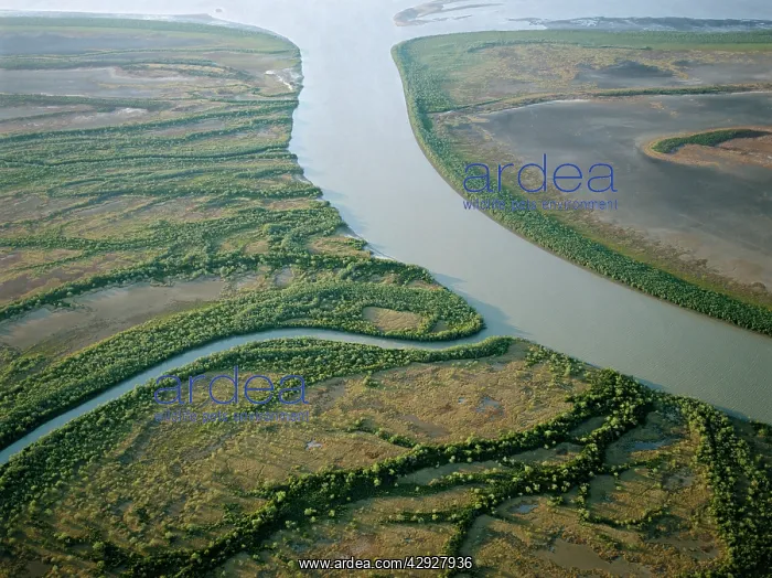 : AUSTRALIA - Coastal wetland wilderness of the Bynoe : AUSTRALIA - Coastal wetland wilderness of the Bynoe