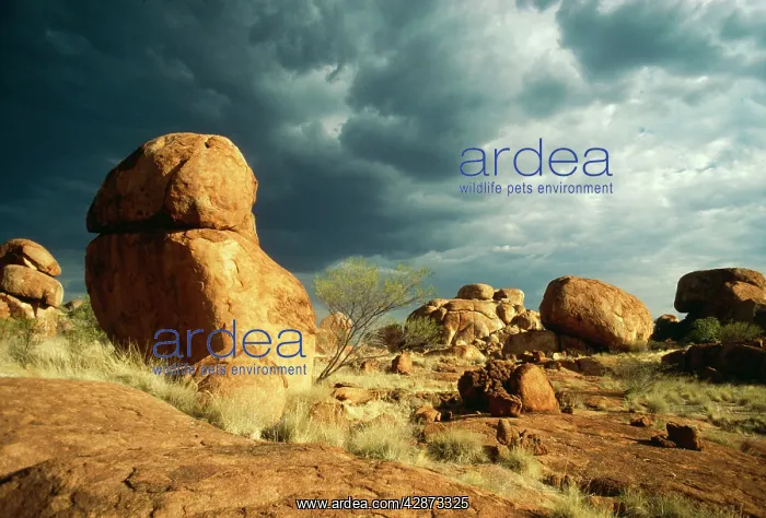 : Australia - The DevilIs Marbles, Granite boulders : Australia - The DevilIs Marbles, Granite boulders