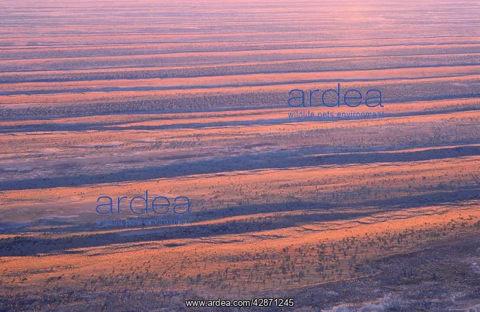 : Australia - dunefields : Australia - dunefields
