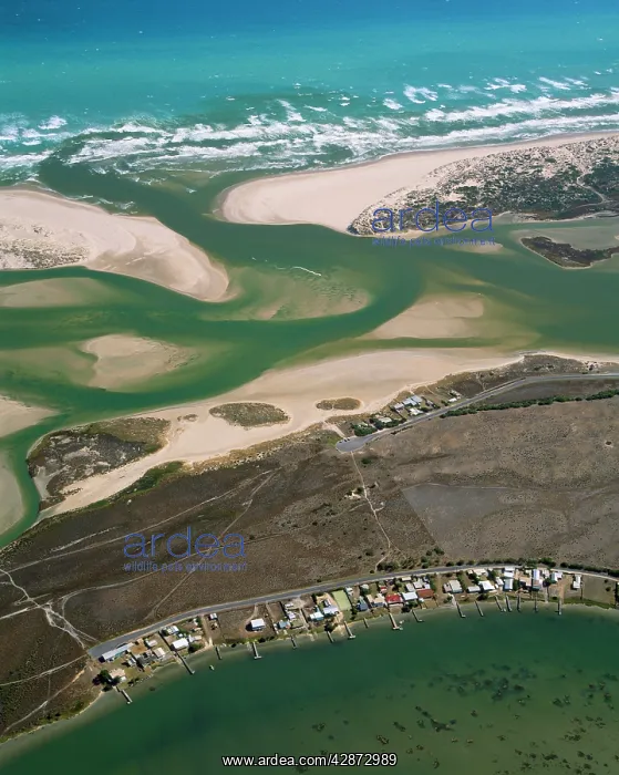 : Australia - Estuary : Australia - Estuary