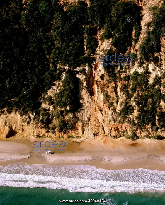 : Australia - Four-wheel driving beneath sand cliffs : Australia - Four-wheel driving beneath sand cliffs