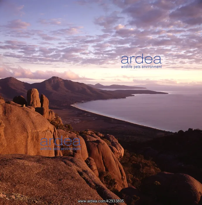 : Australia - Freycinet Peninsula, late afternoon : Australia - Freycinet Peninsula, late afternoon