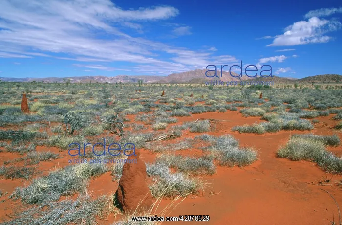 : AUSTRALIA - Haasts Bluff Aboriginal Territory (Reserve) : AUSTRALIA - Haasts Bluff Aboriginal Territory (Reserve)