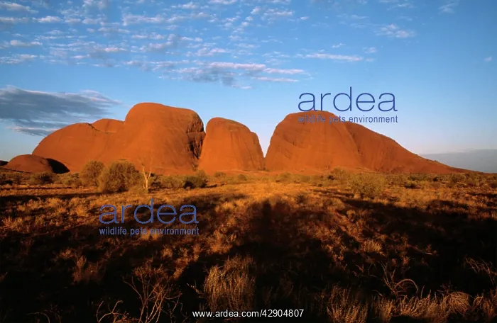 : Australia - Kata Tjuta (the Olgas) : Australia - Kata Tjuta (the Olgas)